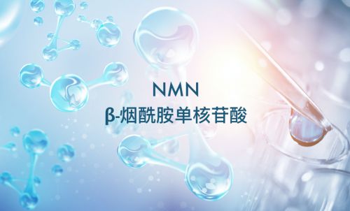 衛健委正式受理成為食品添加劑，NMN領跑2023已成定局