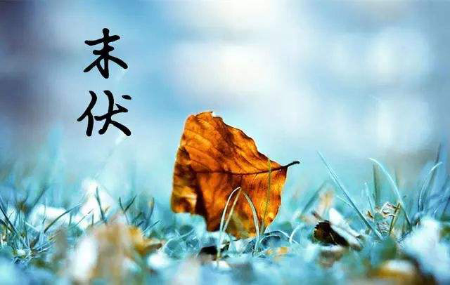 “秋老虎”來襲，如何養生？