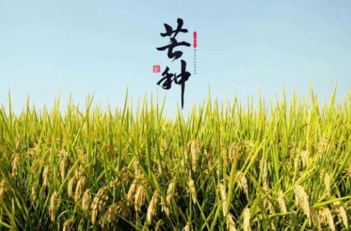 芒種到，防苦夏，祛濕很重要。